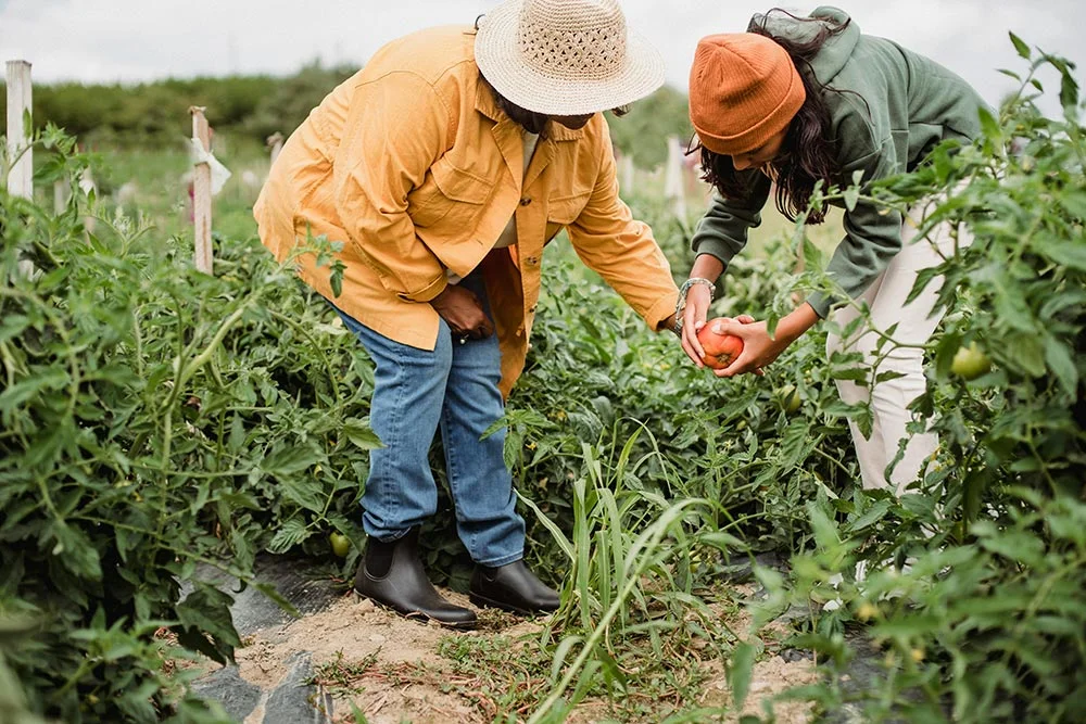 Breaking Down Barriers to Crop Insurance